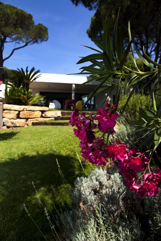 Villa Californie Sainte-Maxime Zewnętrze zdjęcie